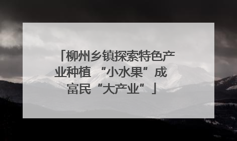 柳州乡镇探索特色产业种植 “小水果”成富民“大产业”