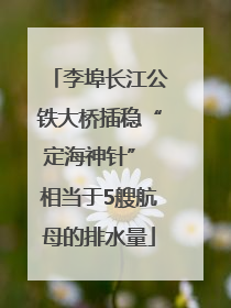 李埠长江公铁大桥插稳“定海神针” 相当于5艘航母的排水量