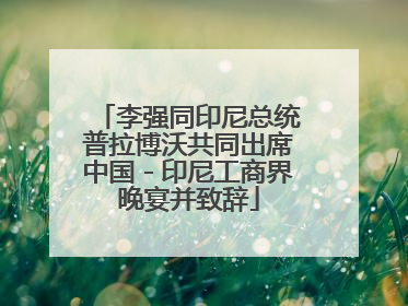 李强同印尼总统普拉博沃共同出席中国－印尼工商界晚宴并致辞