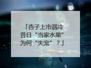 杏子上市遇冷 昔日“当家水果”为何“失宠”？