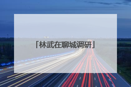 林武在聊城调研