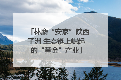 林麝“安家”陕西子洲 生态链上崛起的“黄金”产业