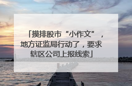 摸排股市“小作文”，地方证监局行动了，要求辖区公司上报线索