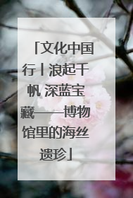 文化中国行丨浪起千帆 深蓝宝藏——博物馆里的海丝遗珍
