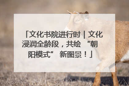 文化书院进行时｜文化浸润全龄段，共绘 “朝阳模式” 新图景！