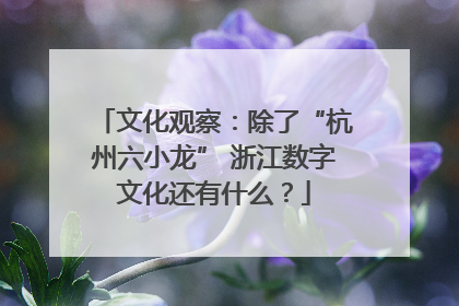 文化观察：除了“杭州六小龙” 浙江数字文化还有什么？