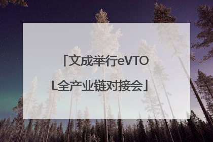 文成举行eVTOL全产业链对接会