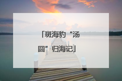 斑海豹“汤圆”归海记