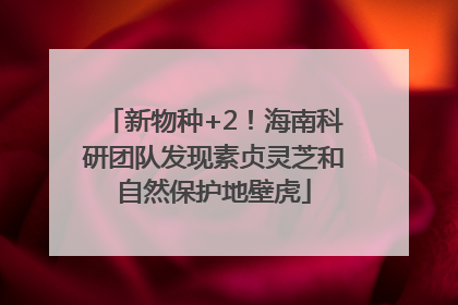 新物种+2！海南科研团队发现素贞灵芝和自然保护地壁虎