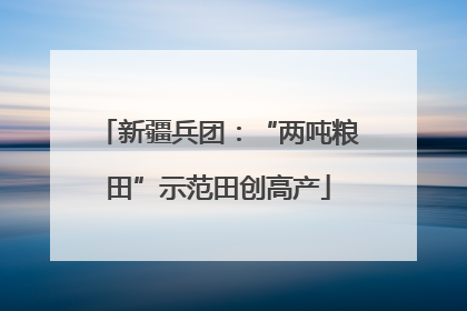 新疆兵团：“两吨粮田”示范田创高产