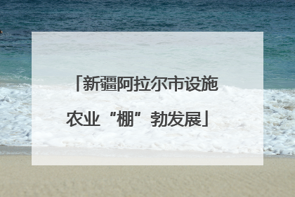 新疆阿拉尔市设施农业“棚”勃发展