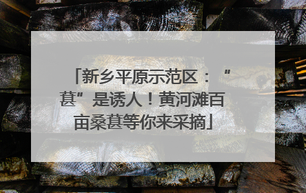 新乡平原示范区：“葚”是诱人！黄河滩百亩桑葚等你来采摘