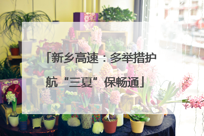 新乡高速：多举措护航“三夏”保畅通