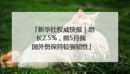 新华社权威快报｜增长2.5%，前5月我国外贸保持较强韧性