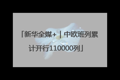 新华全媒+｜中欧班列累计开行110000列