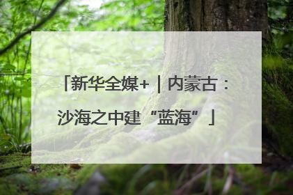 新华全媒+｜内蒙古：沙海之中建“蓝海”