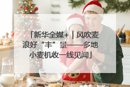 新华全媒+｜风吹麦浪好“丰”景——多地小麦机收一线见闻