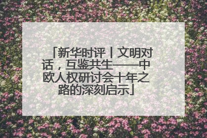 新华时评丨文明对话，互鉴共生——中欧人权研讨会十年之路的深刻启示