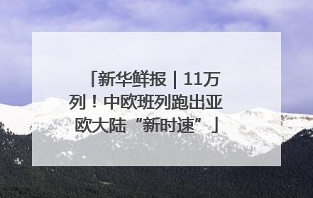 新华鲜报｜11万列！中欧班列跑出亚欧大陆“新时速”