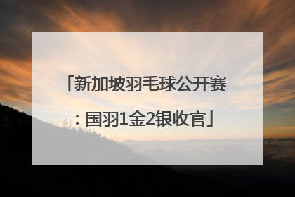 新加坡羽毛球公开赛：国羽1金2银收官