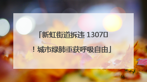 新虹街道拆违 1307㎡！城市绿肺重获呼吸自由