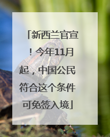 新西兰官宣！今年11月起，中国公民符合这个条件可免签入境