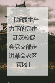新质生产力下的党建 武汉校促会党支部走进革命老区黄冈