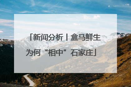 新闻分析丨盒马鲜生为何“相中”石家庄