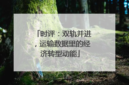 时评：双轨并进，运输数据里的经济转型动能