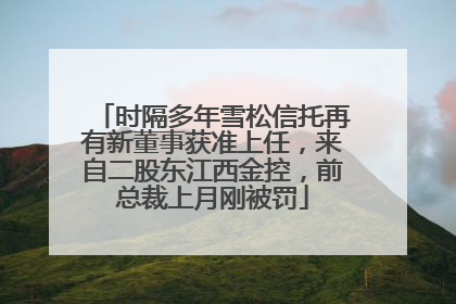 时隔多年雪松信托再有新董事获准上任，来自二股东江西金控，前总裁上月刚被罚