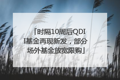 时隔10周后QDII基金再现新发，部分场外基金放宽限购