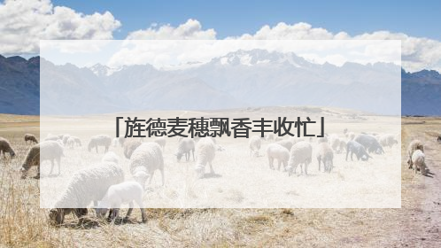 旌德麦穗飘香丰收忙