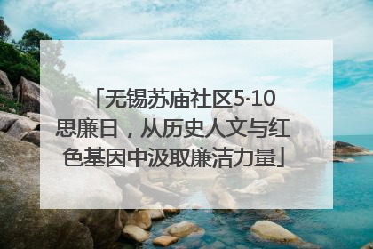 无锡苏庙社区5·10思廉日，从历史人文与红色基因中汲取廉洁力量