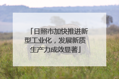 日照市加快推进新型工业化，发展新质生产力成效显著