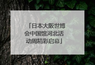 日本大阪世博会中国馆河北活动周精彩启幕