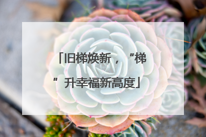 旧梯焕新，“梯”升幸福新高度
