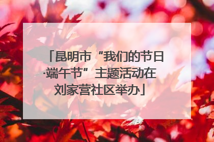 昆明市“我们的节日·端午节”主题活动在刘家营社区举办