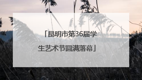 昆明市第36届学生艺术节圆满落幕
