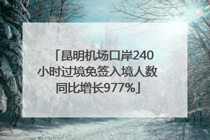 昆明机场口岸240小时过境免签入境人数同比增长977%