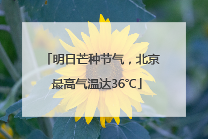 明日芒种节气，北京最高气温达36℃