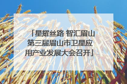 星耀丝路 智汇眉山 第三届眉山市卫星应用产业发展大会召开