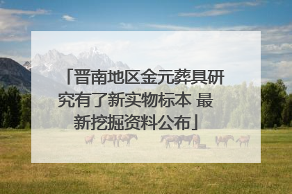 晋南地区金元葬具研究有了新实物标本 最新挖掘资料公布