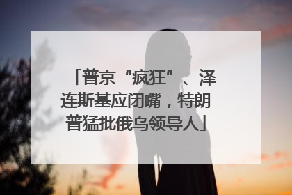 普京“疯狂”、泽连斯基应闭嘴，特朗普猛批俄乌领导人