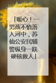 暖心！一男孩不慎落入河中，苏仙公安民辅警纵身一跃硬核救人