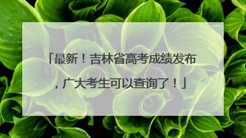 最新！吉林省高考成绩发布，广大考生可以查询了！