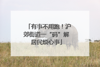 有事不用跑！沪郊街道一“码”解居民烦心事