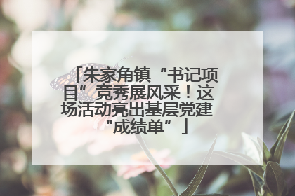 朱家角镇“书记项目”竞秀展风采！这场活动亮出基层党建“成绩单”