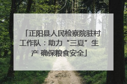 正阳县人民检察院驻村工作队：助力“三夏”生产 确保粮食安全
