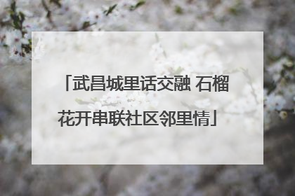 武昌城里话交融 石榴花开串联社区邻里情