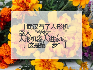 武汉有了人形机器人“学校”，“人形机器人进家庭，这是第一步”